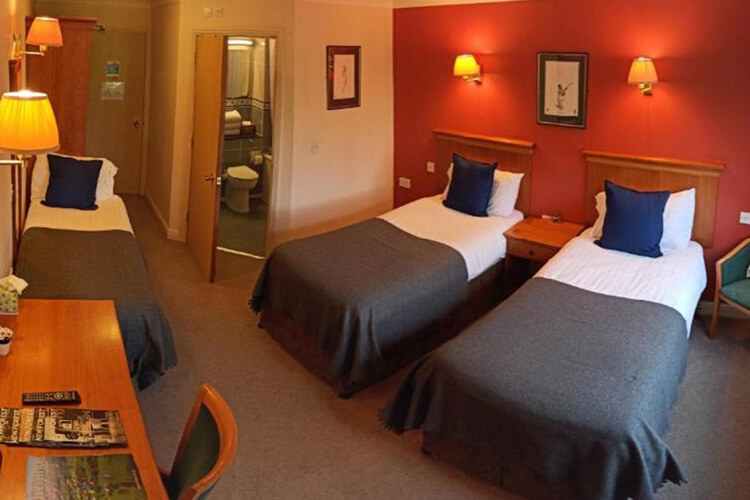 New Forest Lodge Hotel - Image 2 - UK Tourism Online
