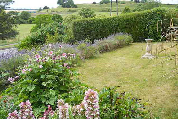 Sarum Heights Bed and Breakfast - Image 5 - UK Tourism Online
