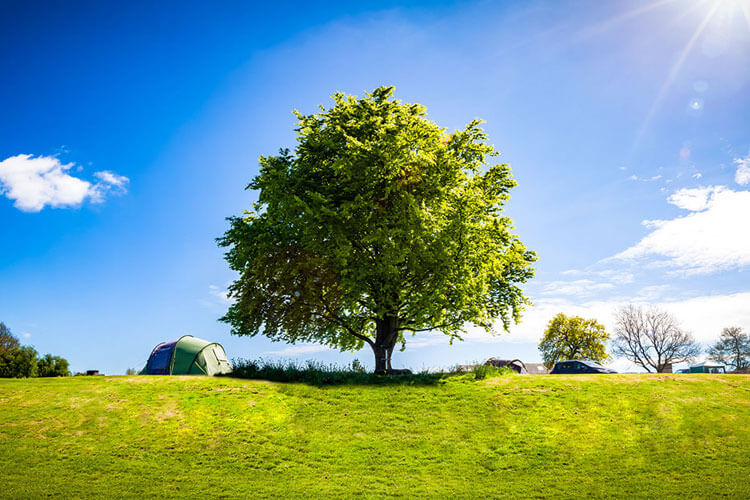 Beeches Farm Campsite - Image 2 - UK Tourism Online