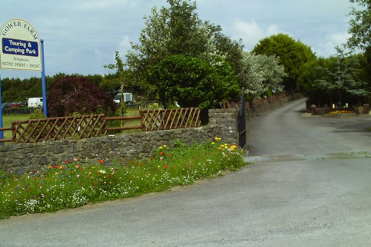 Gower Farm Touring & Camping Park - Image 1 - UK Tourism Online