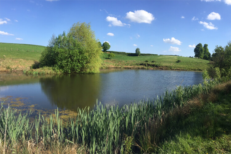 Hendre Farmhouse Orchard Campsite - Image 2 - UK Tourism Online