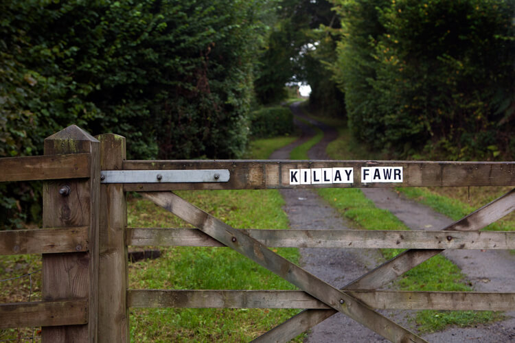Killay Fawr - Image 1 - UK Tourism Online