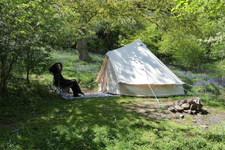 Middle Ninfa Campsite - Image 4 - UK Tourism Online