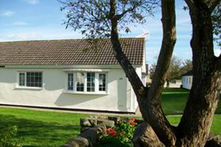 No 38 Gower Holiday Village - Image 1 - UK Tourism Online