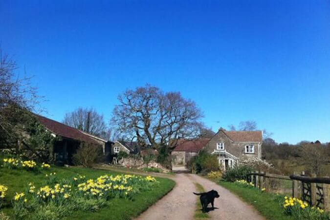 Oak Farm Thumbnail | Newport - Cardiff and South East Wales | UK Tourism Online