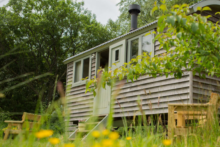 Ty Cerrig Woodland Retreats - Image 1 - UK Tourism Online