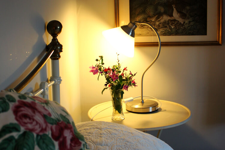 Warren Mill Farm Bed & Breakfast - Image 2 - UK Tourism Online