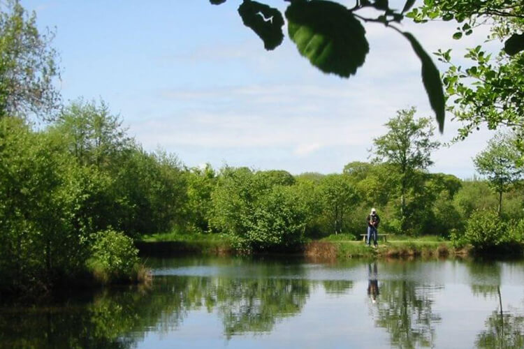 Nine Oaks Fishery - Image 5 - UK Tourism Online