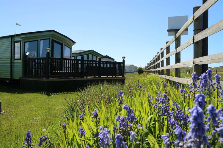 Searivers Caravan Park - Image 2 - UK Tourism Online
