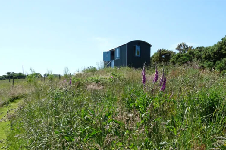 Anglesey Shepherds Huts - Image 1 - UK Tourism Online