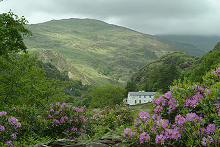 Bryn Eglwys Hotel - Image 1 - UK Tourism Online