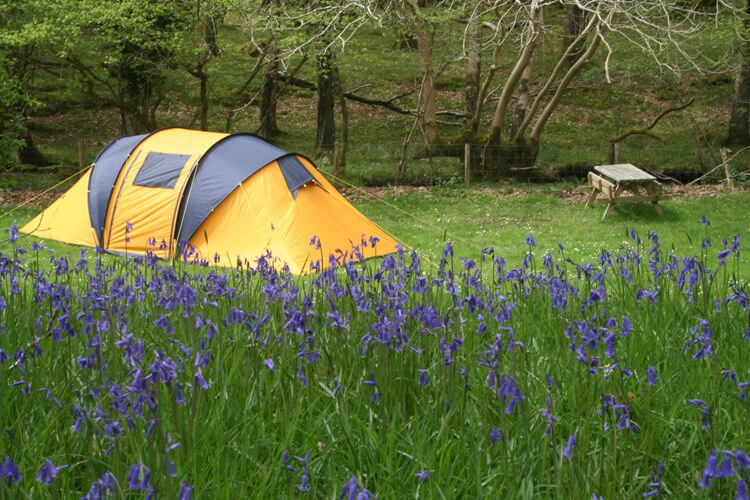 Dinas Camping - Image 5 - UK Tourism Online