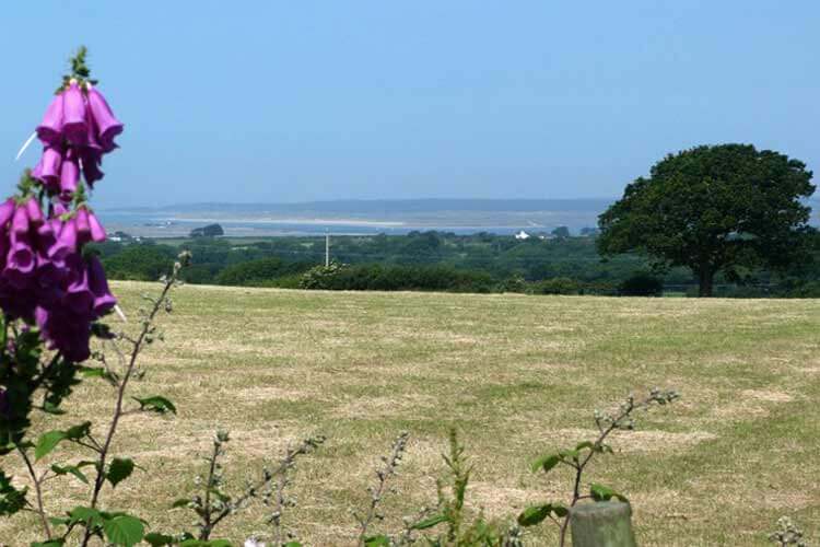 Dinas Farm Holidays - Image 2 - UK Tourism Online