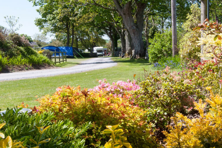 Llys Derwen Caravan & Camping Site - Image 2 - UK Tourism Online