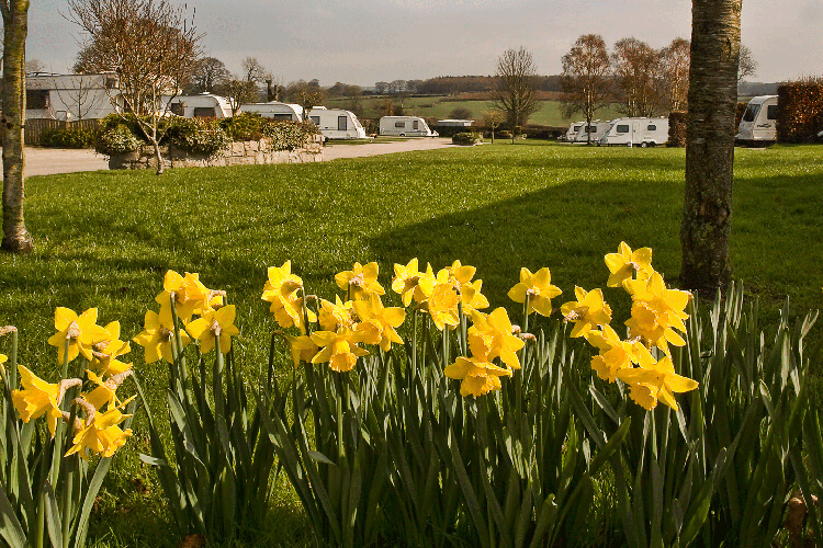 Penisar Mynydd Caravan Park - Image 1 - UK Tourism Online