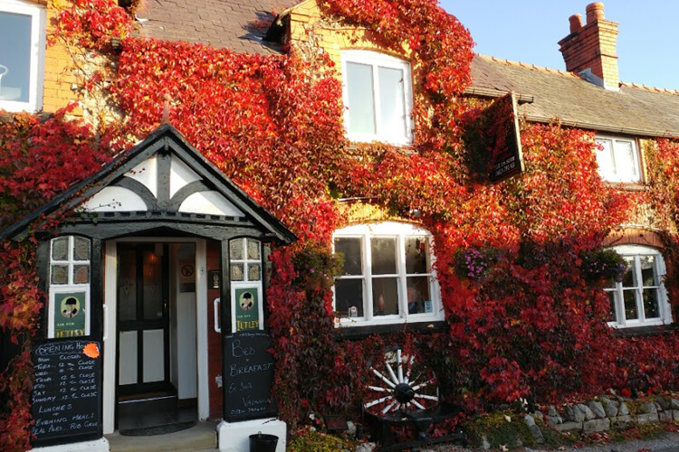 The Golden Lion Inn - Image 1 - UK Tourism Online