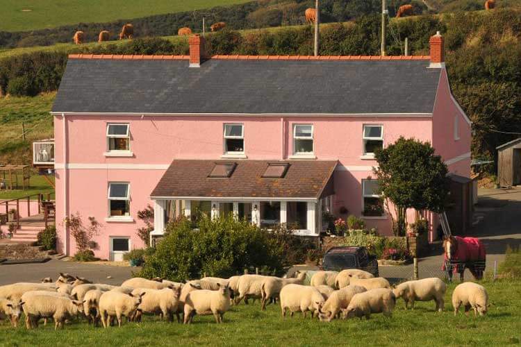 Bower Farm - Image 4 - UK Tourism Online