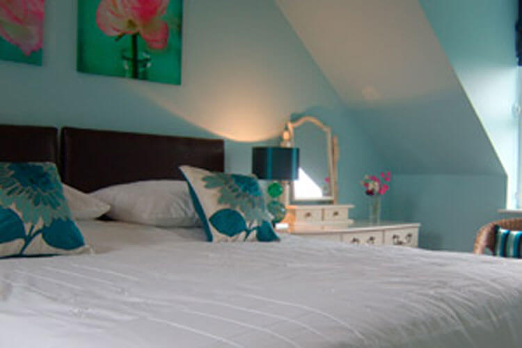 Brynhaul Bed & Breakfast - Image 2 - UK Tourism Online