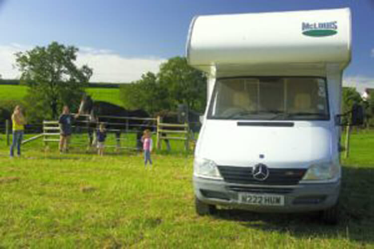 Dyfed Shire Horse Farm Camping - Image 1 - UK Tourism Online