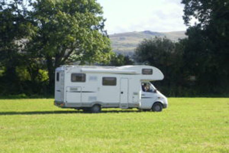 Dyfed Shire Horse Farm Camping - Image 3 - UK Tourism Online