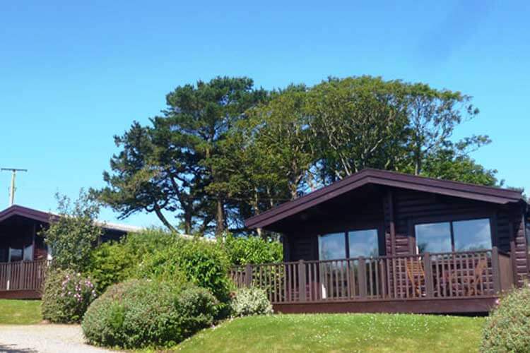 Felindre Log Cabins - Image 1 - UK Tourism Online