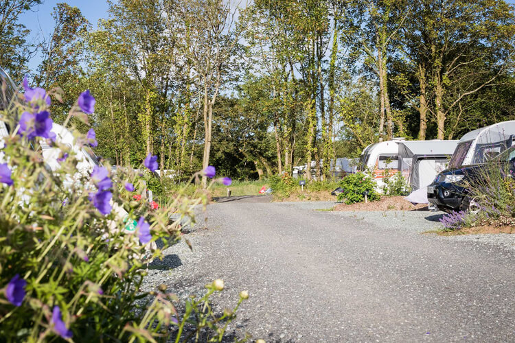 The Buttles Caravan Park - Image 1 - UK Tourism Online