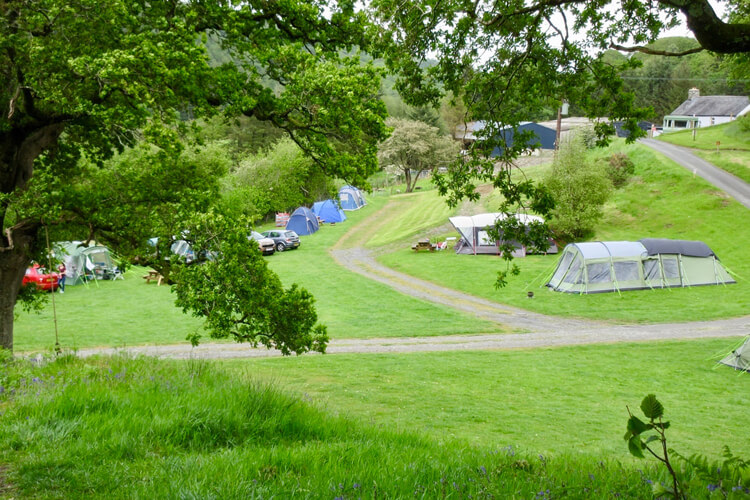 Gwerniago Campsite - Image 1 - UK Tourism Online