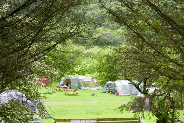 Gwerniago Campsite - Image 5 - UK Tourism Online