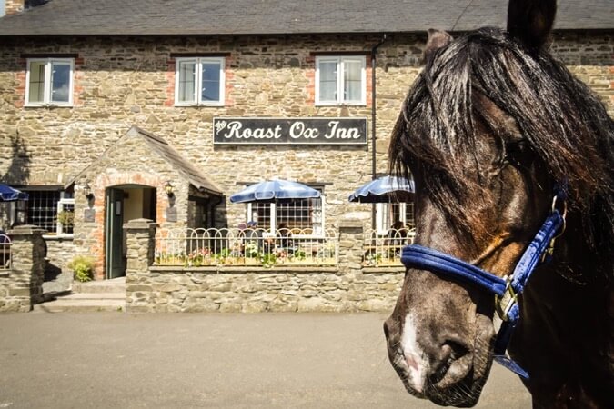 The Roast Ox Inn Thumbnail | Builth Wells - Powys | UK Tourism Online