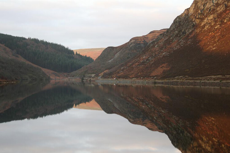 Troed-y-Rhiw & Bronfelin Holiday Cottages - Image 4 - UK Tourism Online