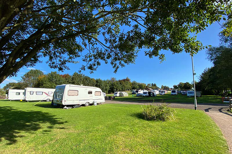 Hales Hall Camping & Caravan Park - Image 1 - UK Tourism Online