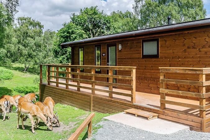 Silver Trees Holiday Park Thumbnail | Rugeley - Staffordshire | UK Tourism Online