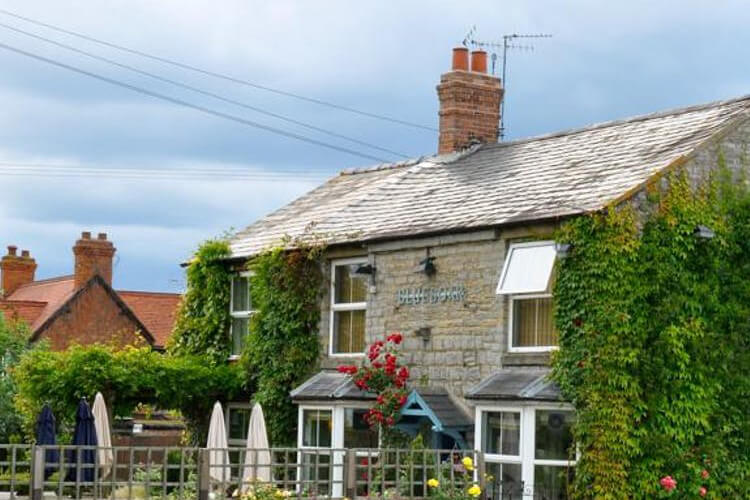 The Blue Boar Inn - Image 1 - UK Tourism Online