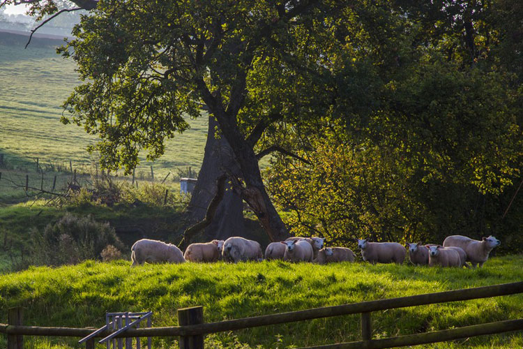 Hardwicke Farm - Image 4 - UK Tourism Online