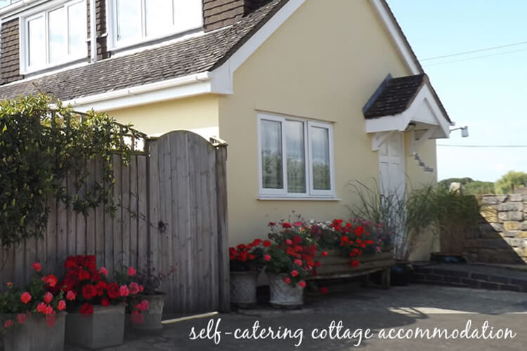 The New Cottage - Image 1 - UK Tourism Online
