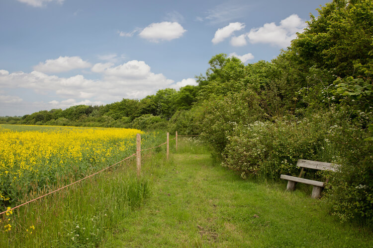 Mill Farm Country Park - Image 5 - UK Tourism Online