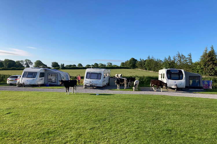 Cow Close Caravan & Camping - Image 1 - UK Tourism Online