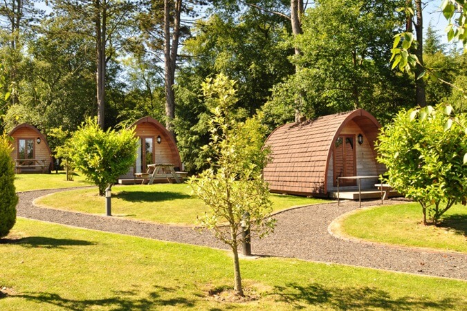Falcon Forest Glamping Thumbnail | Scarborough - North Yorkshire | UK Tourism Online