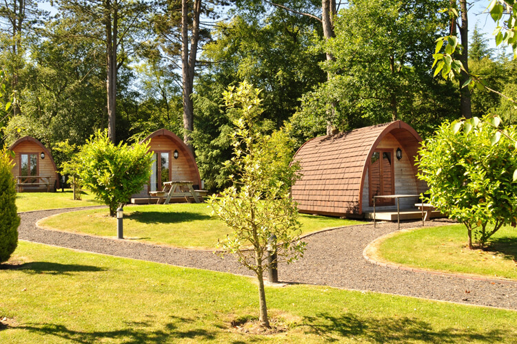 Falcon Forest Glamping - Image 1 - UK Tourism Online