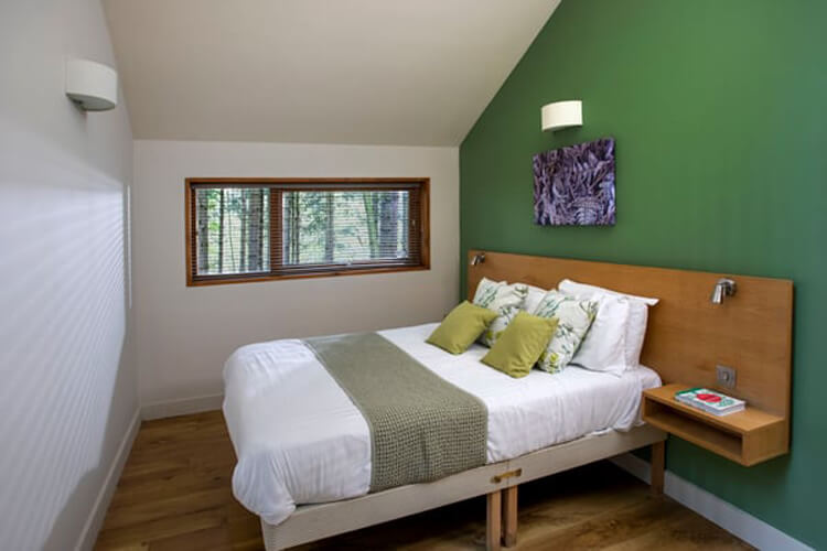 Forest Holidays - Image 4 - UK Tourism Online