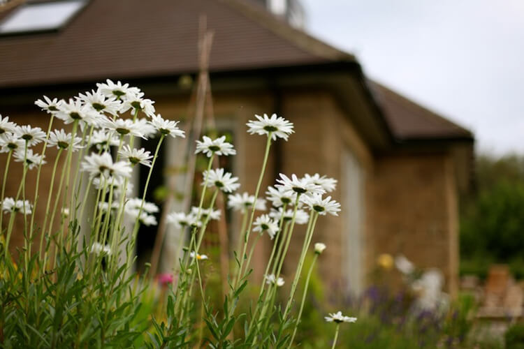 Greenwood Close - Image 1 - UK Tourism Online