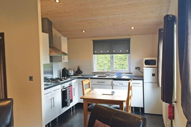 Hollybrook Lodges - Image 2 - UK Tourism Online