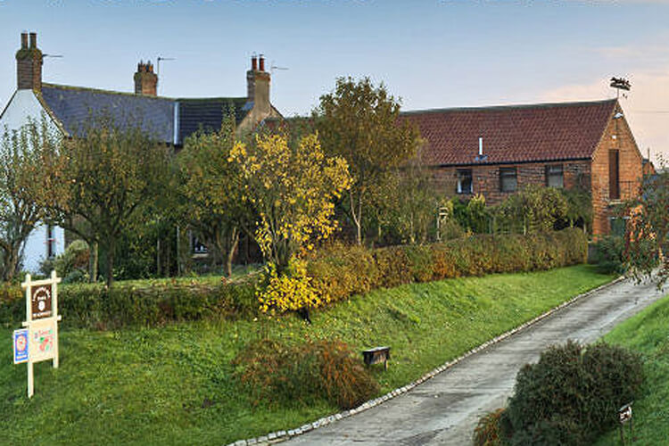 Lovesome Hill Farm - Image 1 - UK Tourism Online