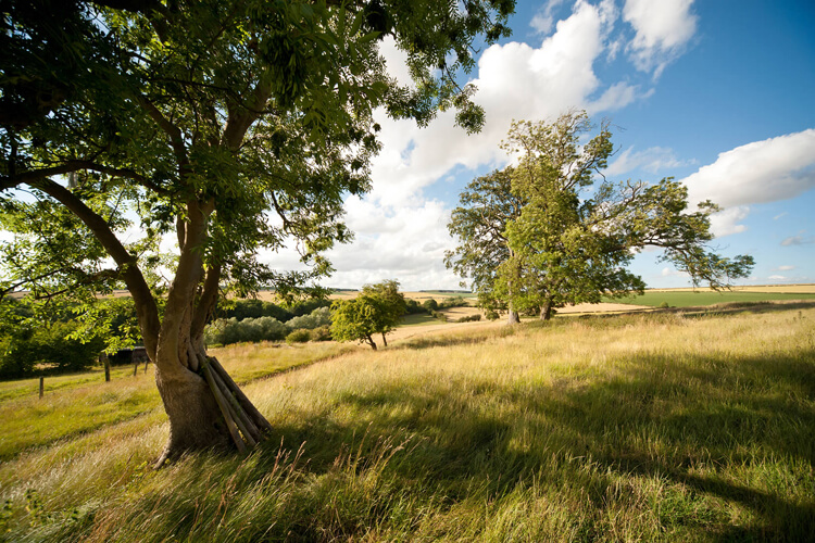 Manor Farm Cottage - Image 3 - UK Tourism Online