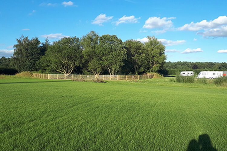 Old York Forest Campsite - Image 4 - UK Tourism Online