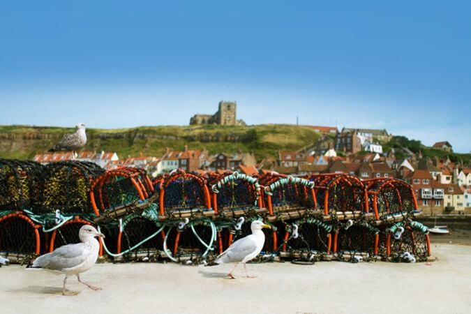 Shoreline Cottages Thumbnail | Whitby - North Yorkshire | UK Tourism Online