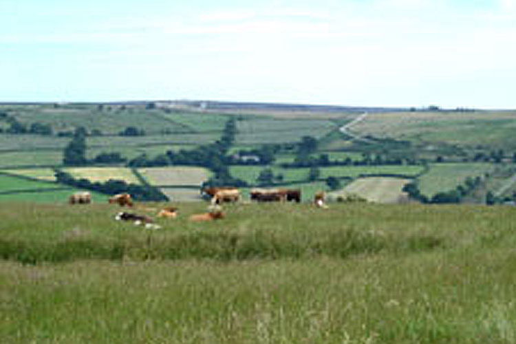 Steamview Holiday Cottage - Image 4 - UK Tourism Online