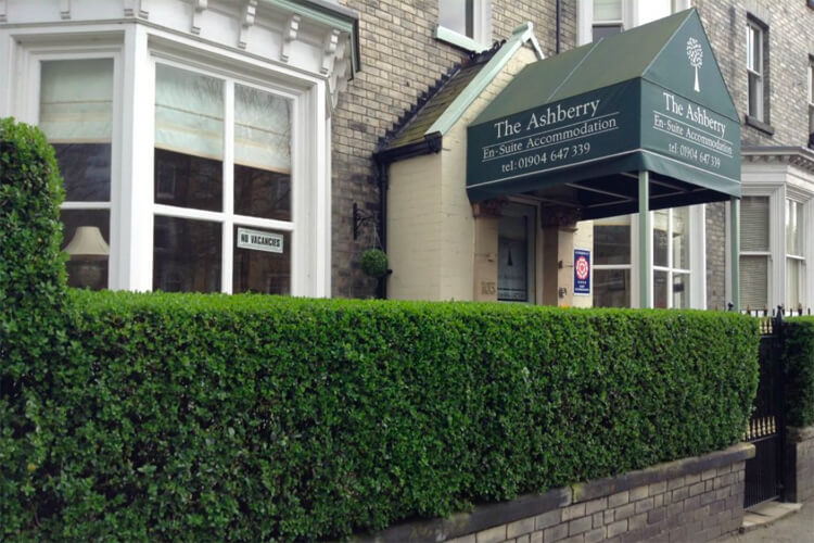 The Ashberry B&B - Image 1 - UK Tourism Online