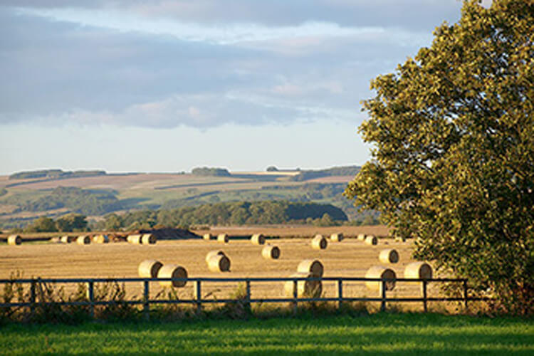 The Coach House at Northwood House - Image 3 - UK Tourism Online