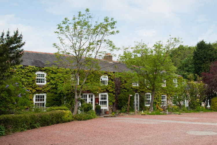 The Treebridge Hotel - Image 1 - UK Tourism Online